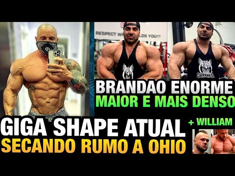 GIGA SHAPE ATUAL - BRANDÃO GIGANTE NOVAMENTE - WILLIAM MARTINS INSANO - RAMON VS GORILA ? E MAIS