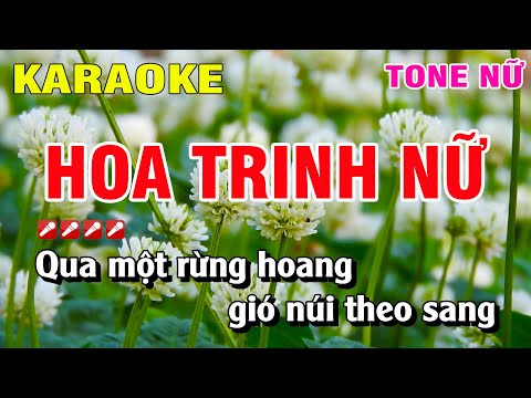Karaoke Hoa Trinh Nữ Tone Nữ  Nhạc Sống | Karaoke Hoàng Luân