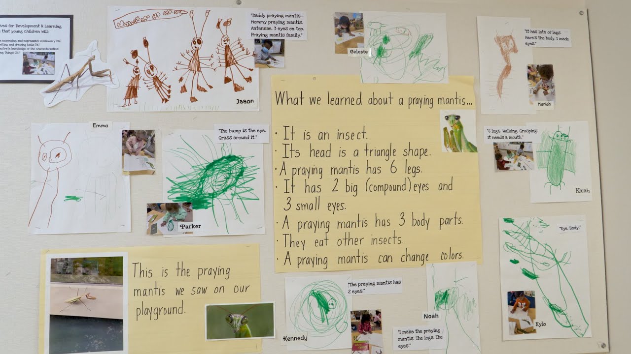 Telling the Story of Learning in Displays of Student Work