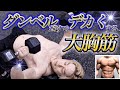 ダンベルだけで大胸筋を大きくする中級者向けメニュー3種目【2分】