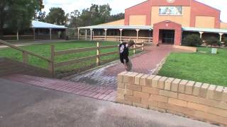 Shake Ya Rump ( ͡° ͜ʖ ͡°)