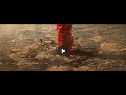 Monkey King Reborn 2021 ost