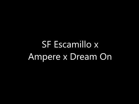 Stutfohlen Escamillo x Ampere x Drean On 2019