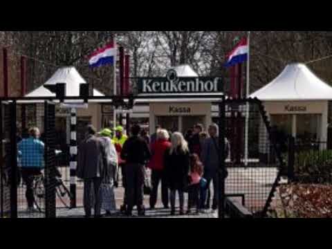 Garten in den Niederlanden Keukenhof / Lisse Impressionen garden of Europe Netherlands impressions