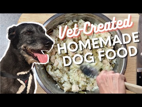 YouTube video about: Can senior dogs eat puppy food?