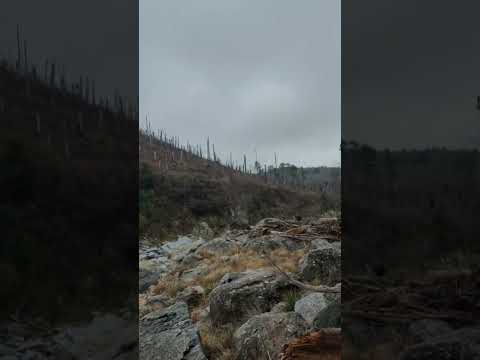 Senderismo fluvial entre El Vado y el sendero de los Pinares, río Talita, Alpa Corral, Córdoba.