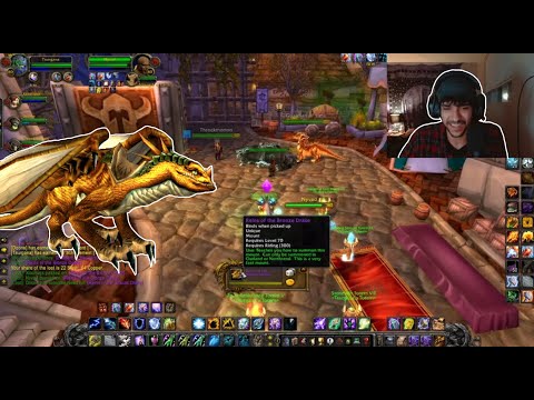 Finally Obtaining the Bronze Drake! | WOTLK Classic