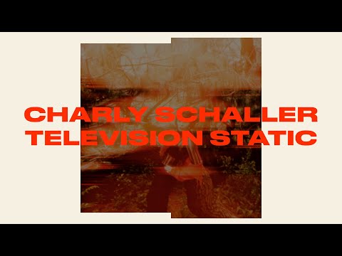 Charly Schaller - Television Static