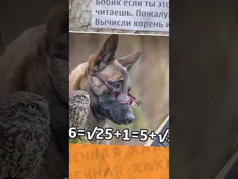 С Днём рождения пылесоса!