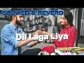 Dil Laga Liya Slowed Reverb Alka Yagnik Udit Narayan Mood 90 S Kota Lofi 2025 Tipsofficial