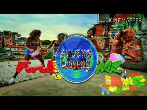 FaridEgall T.M.R(PAPI-CORET_style)