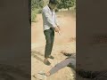 Surya Bhai Ka New Video