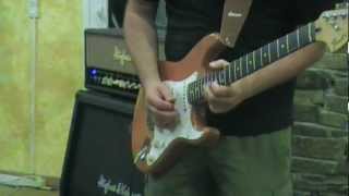 Bruised Mushrooms - I Believe to my Soul