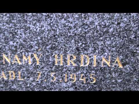 Milan Princ - Karel Vošta - Platím