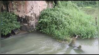 Download lagu Jilid 15#Bertemu Ratu Galunggung dalam wujud asli.. mp3