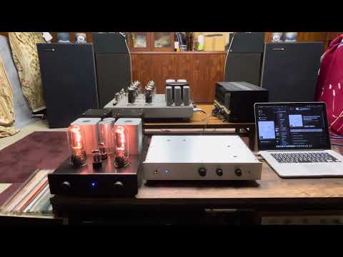Vacuum tube preamplifier+845+Field coil speaker