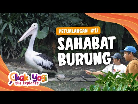 Kak Yogi The Explorer #12: Sahabat Burung
