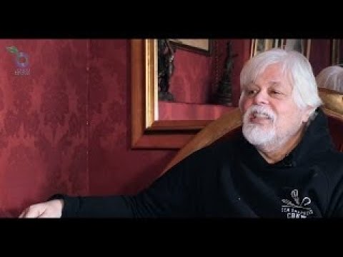 Le dernier Pirate - Bande Annonce - VF