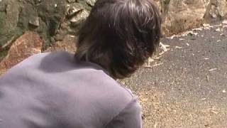 Powderfinger- These Days (Music Video)