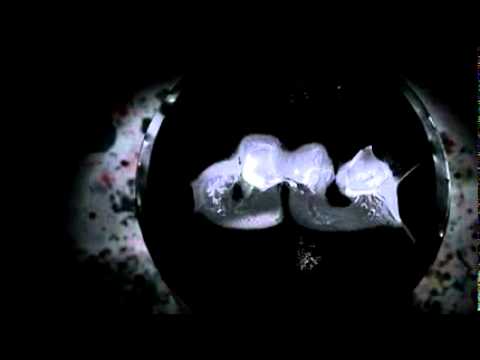 June 7, 2011 9:27 AM