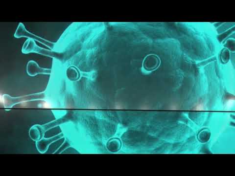 Confira os fatos que marcaram a semana | Resumo semanal (13/03/20)