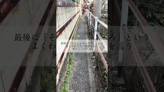 【何かしらの代表】代表散歩〜三ノ輪編〜 #shorts #何かしらの代表 #散歩 #名言