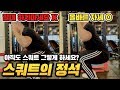 아직도 스쿼트 그렇게 하세요? 스쿼트 할때 꼭 봐야하는 영상! | 스쿼트 하는법 고퀄 영상공개