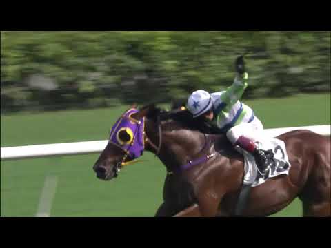 26/9/2021 (60) Voyage Star - A Badel