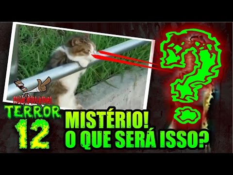 Pastor Metralhadora TERROR 12