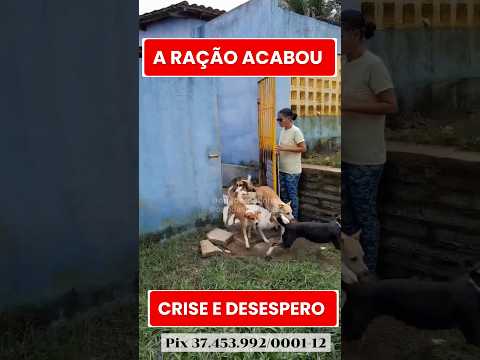 #amoanimais #pets #viralata #cachorro #causaanimal #cachorros #petlover #lovepet