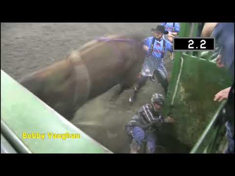 BullMania 2019 Video