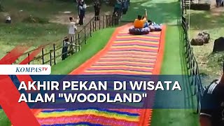 Download lagu Yuk, Menikmati Akhir Pekan di Wisata Alam Woodland Kuningan mp3