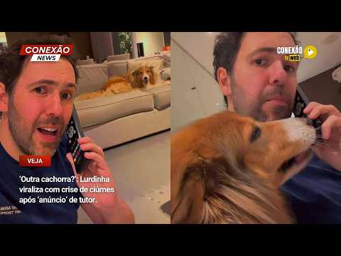 Vídeo: ‘Outra cachorra?’: Lurdinha viraliza com crise de ciúmes após ‘anúncio’ de tutor.