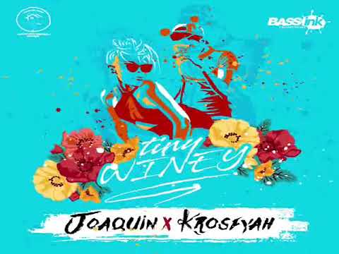 JOAQUIN X KROSFYAH - TINEY WINEY (CROPOVER 2018)