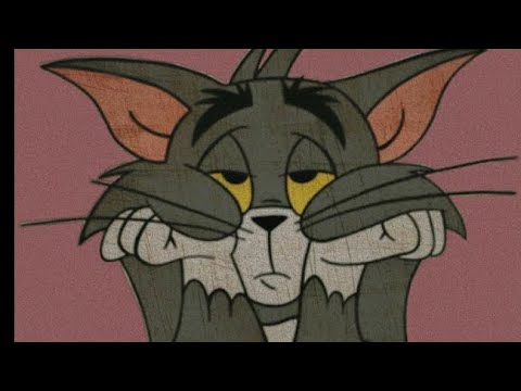 ZiggaZain - Why Would I