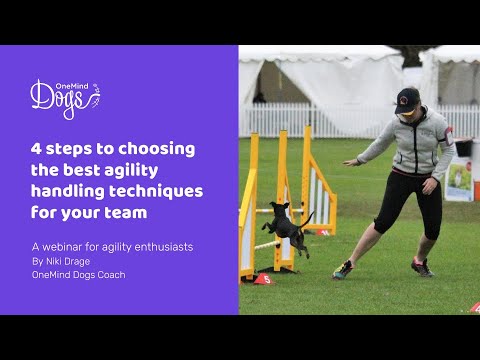 FREE Webinar: 4 Steps to choosing the best dog agility handling techniques for your team