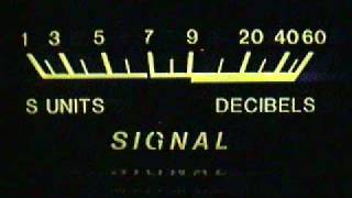 Sleepy Dog, Bear Paw, Butcher Boy July 19, 2010, 09:22 PM