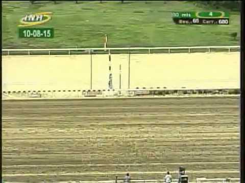 Resumen Lunes, 10 de Agosto de 2015 - La Rinconada