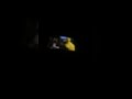 Sesame Street Episode 3257 Ending