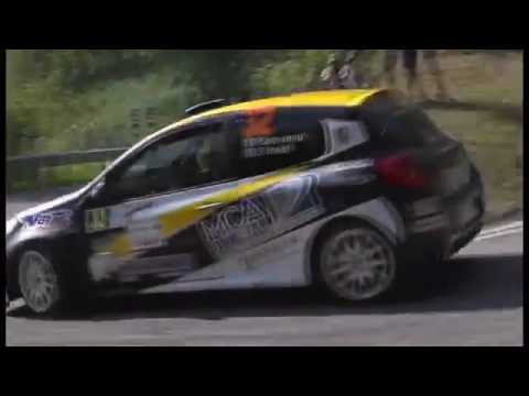 Benvenuti / Torielli - Rally del Friuli Venezia Giulia 2016