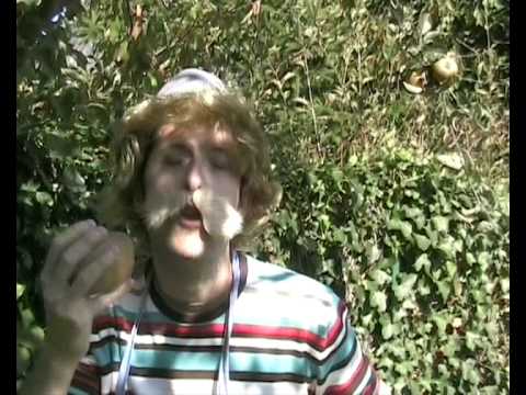 Cucurbitacée - (As tu déjà vu mon cul) - Michel l'ingénieur informaticien