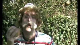 Cover art for cucurbitacée ( michel ingenieur informaticien )