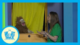 Adventures with Artie: Peace