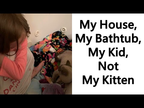 The Best ‘My House, Not My Cat’ Moments That Have Ever Happened To Humans