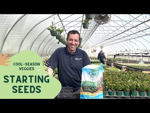 Barlow's TV [Episode 122] Starting Seeds: Cool-Weather Vegetables