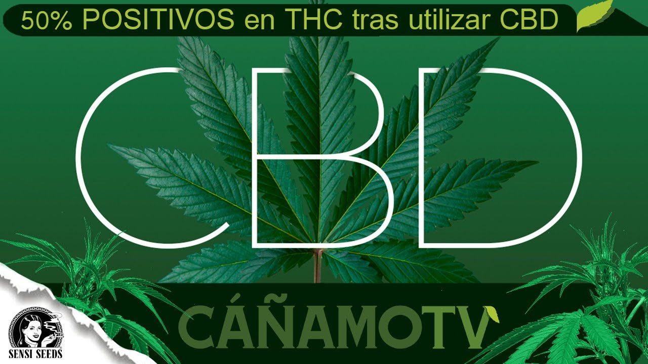 ¿Es posible dar POSITIVO en THC tras UTILIZAR CBD