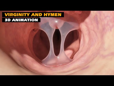 Virginity & Hymen | 3D Animation