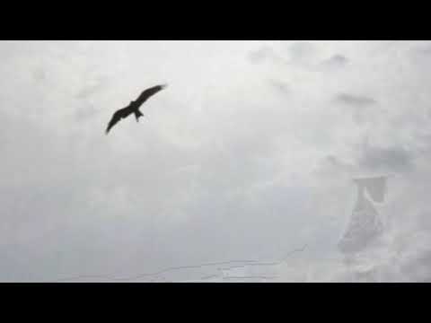 Có một mùa đông - Kim Chi Đoàn