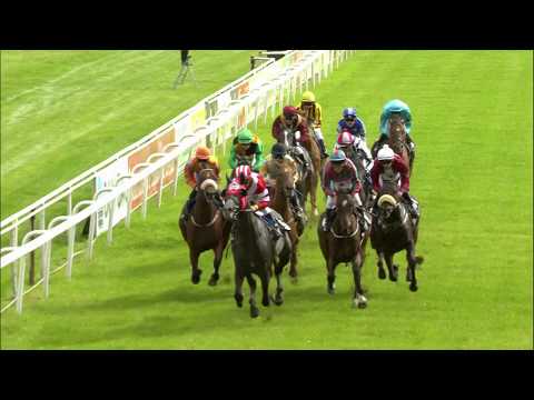 Galopprennbahn Dresden - 28.09.2019 - 2.Rennen