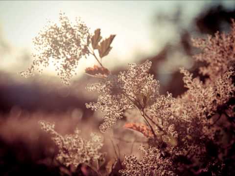 Mat Zo feat. Linnea Schossow - The Sky (Arty Mix)